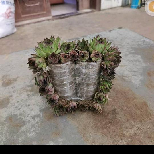 I'm afraid you can't