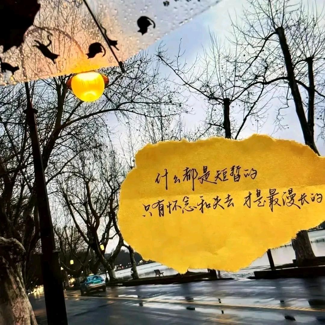 M丶