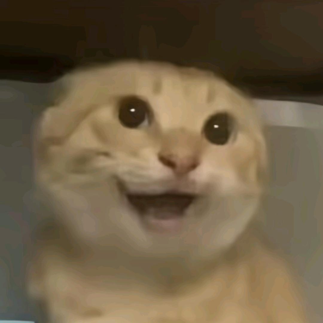 ddddd.