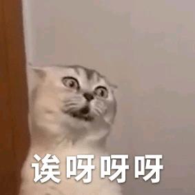 打工人