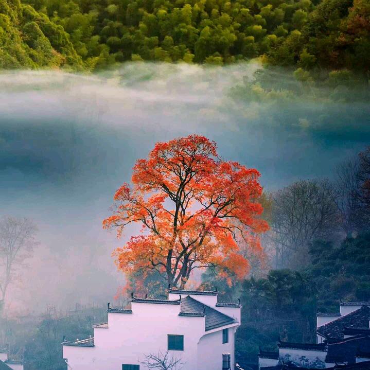 燕军姐小号(大号早上7点07分开播）3