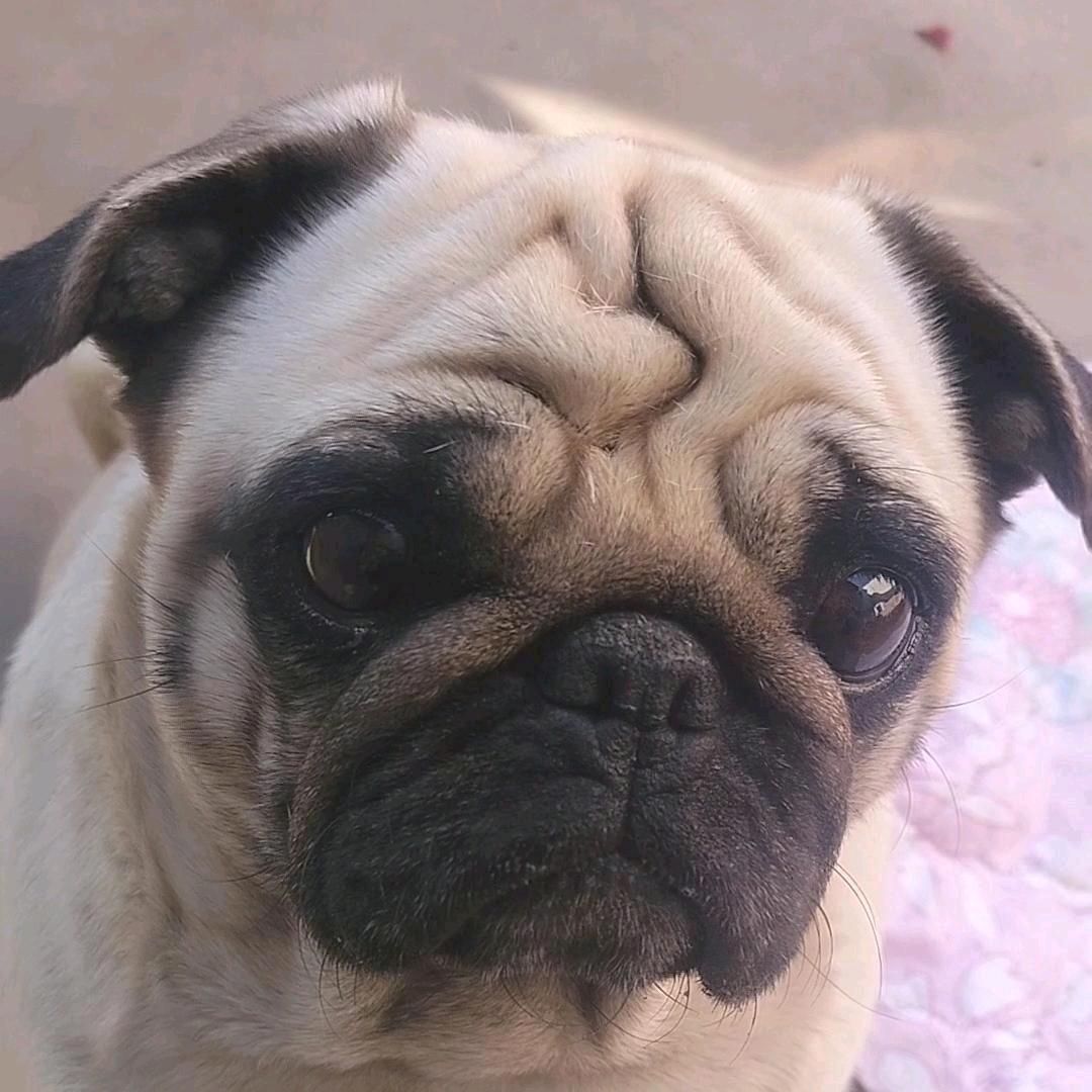 🍀🍀岁月静好🍀🍀