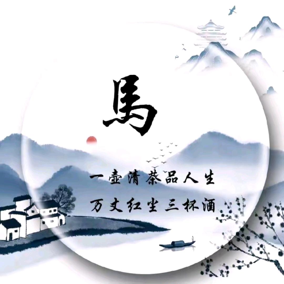 农村老登