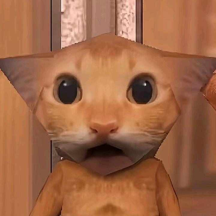 概率为零？！头像