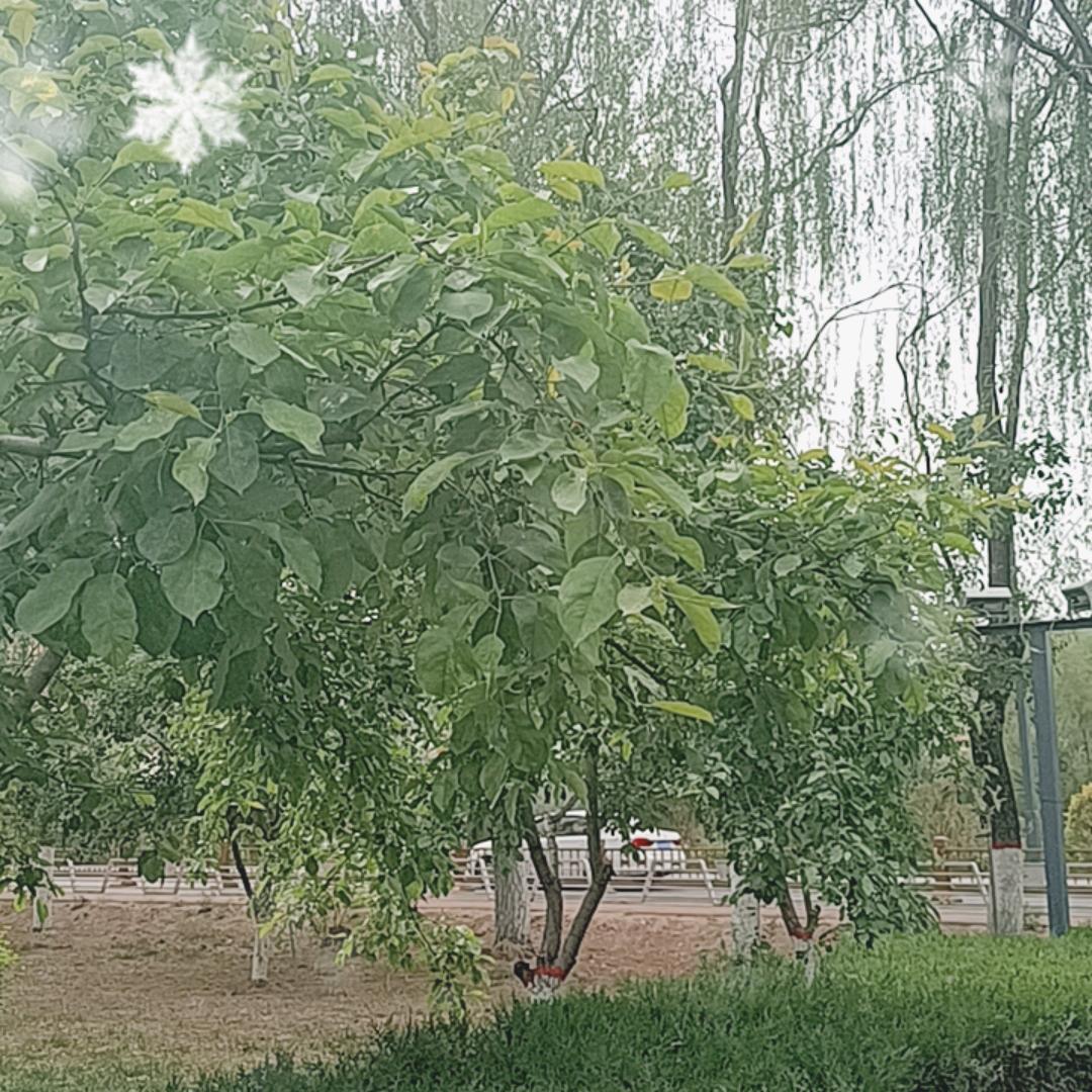 放飞自我