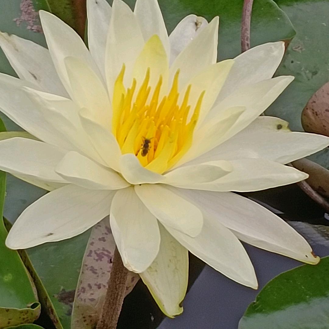 君姐🌹🌹拒绝私聊