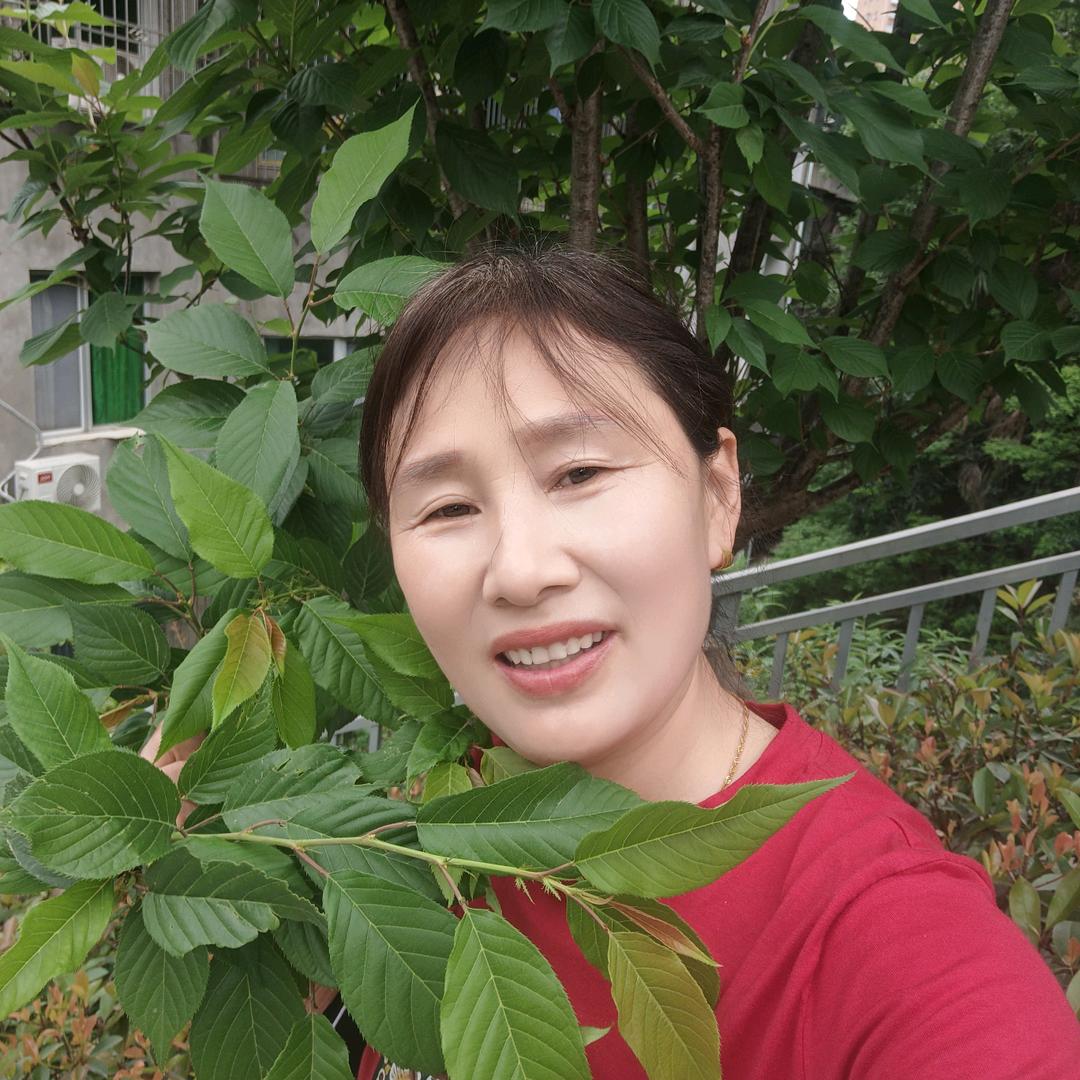蓉姐(停播学习中求关注)