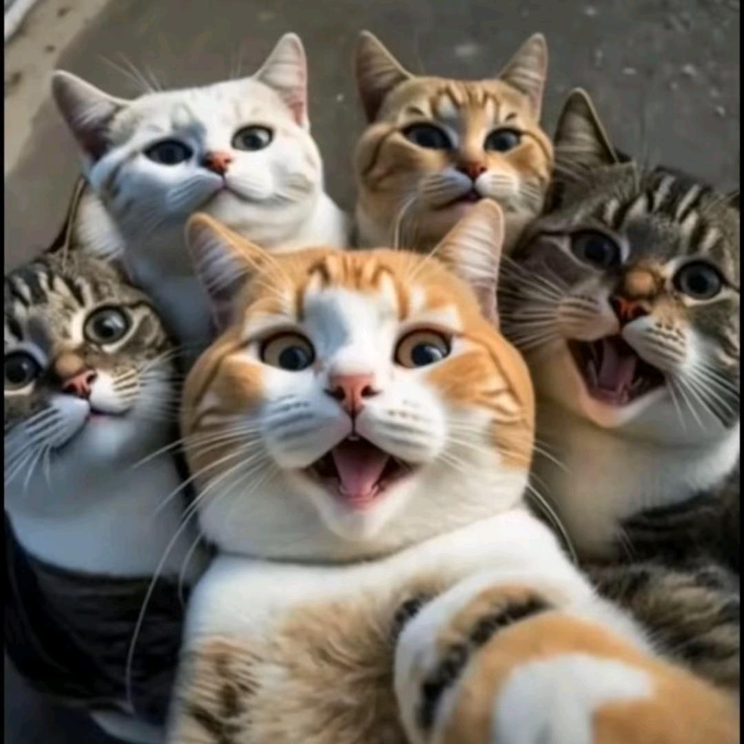 我是小淘淘🙈🙈