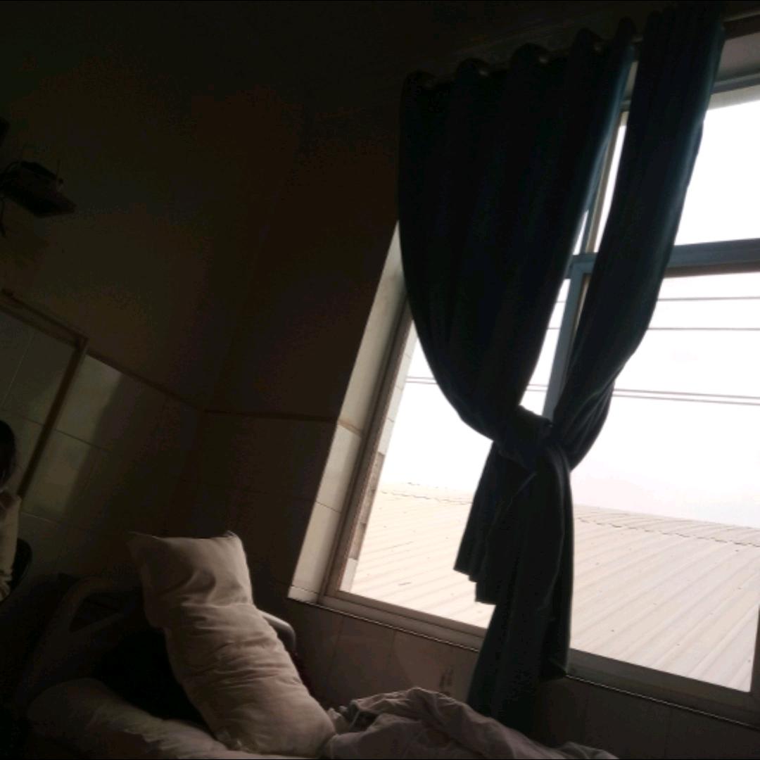 歌在飞