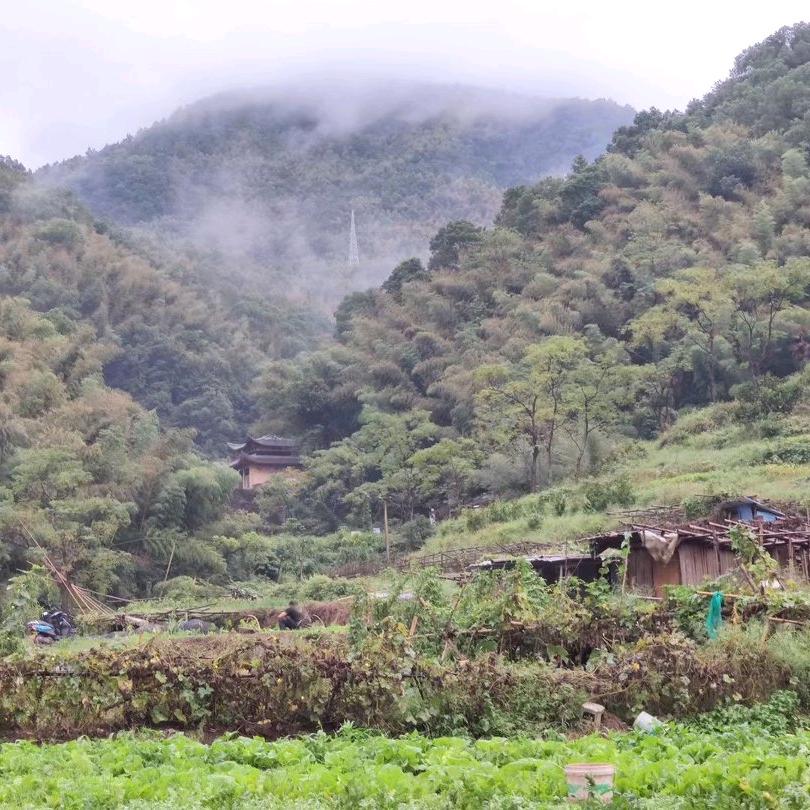 凡有所相皆是虚妄