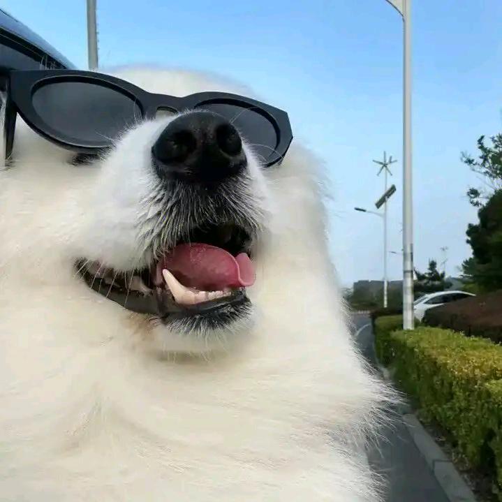 卡斯帕