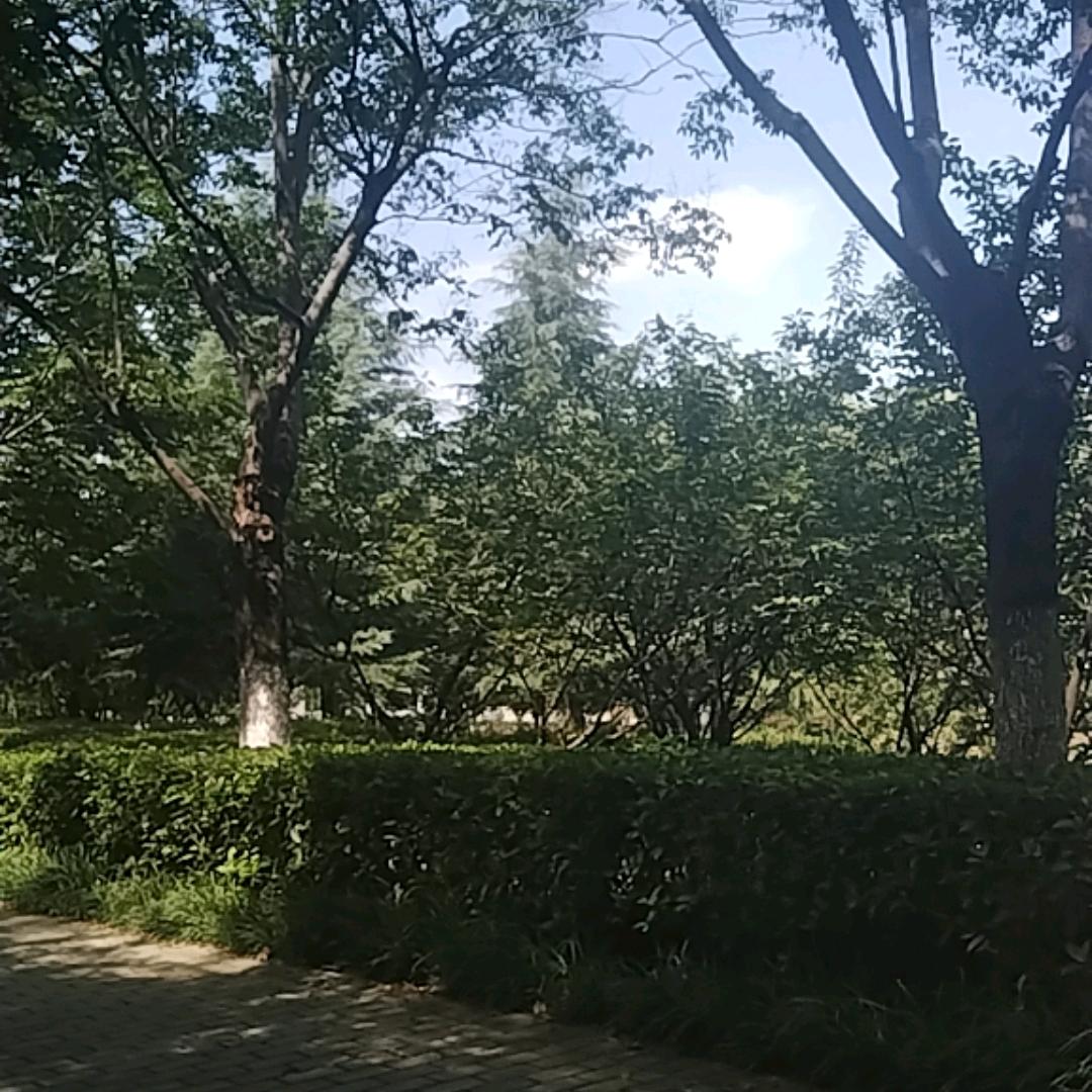 心如死灰