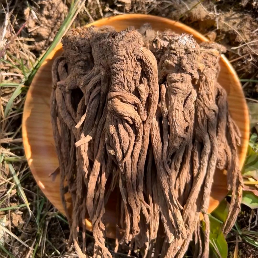 漳县道地缘滋补农产品电子商务店