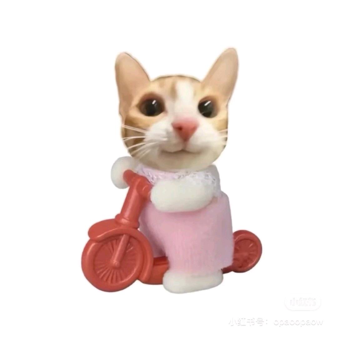 🌈菜嘻嘻～嘻嘻嘻🌈