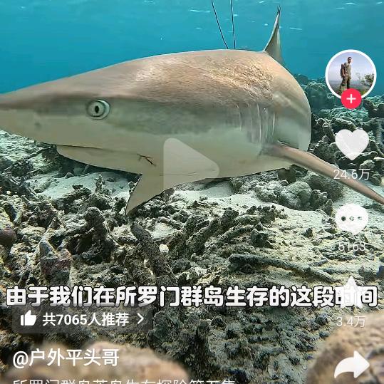艾佳同诚生活服务