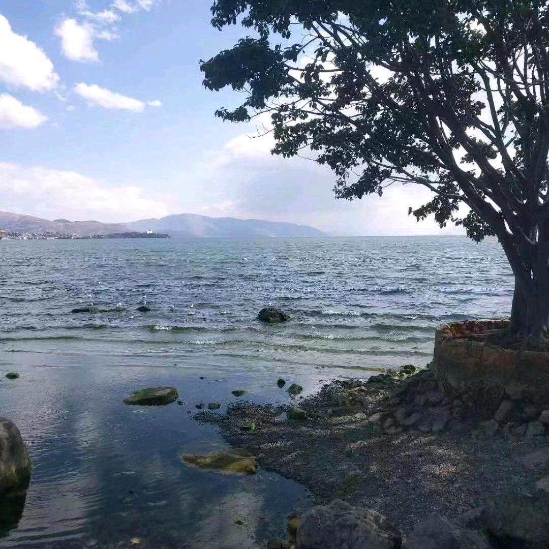 健康平安