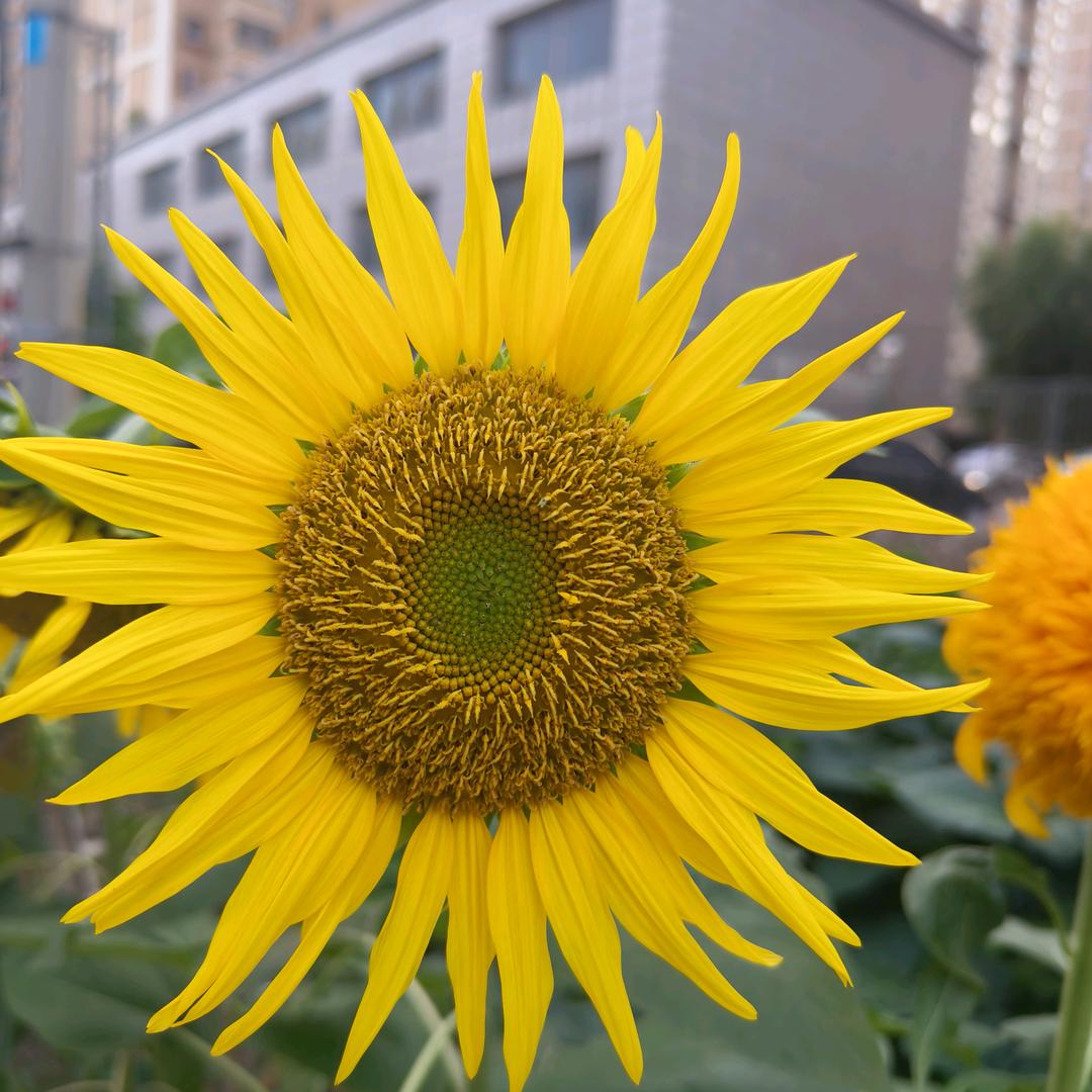 美好✂️时光✨