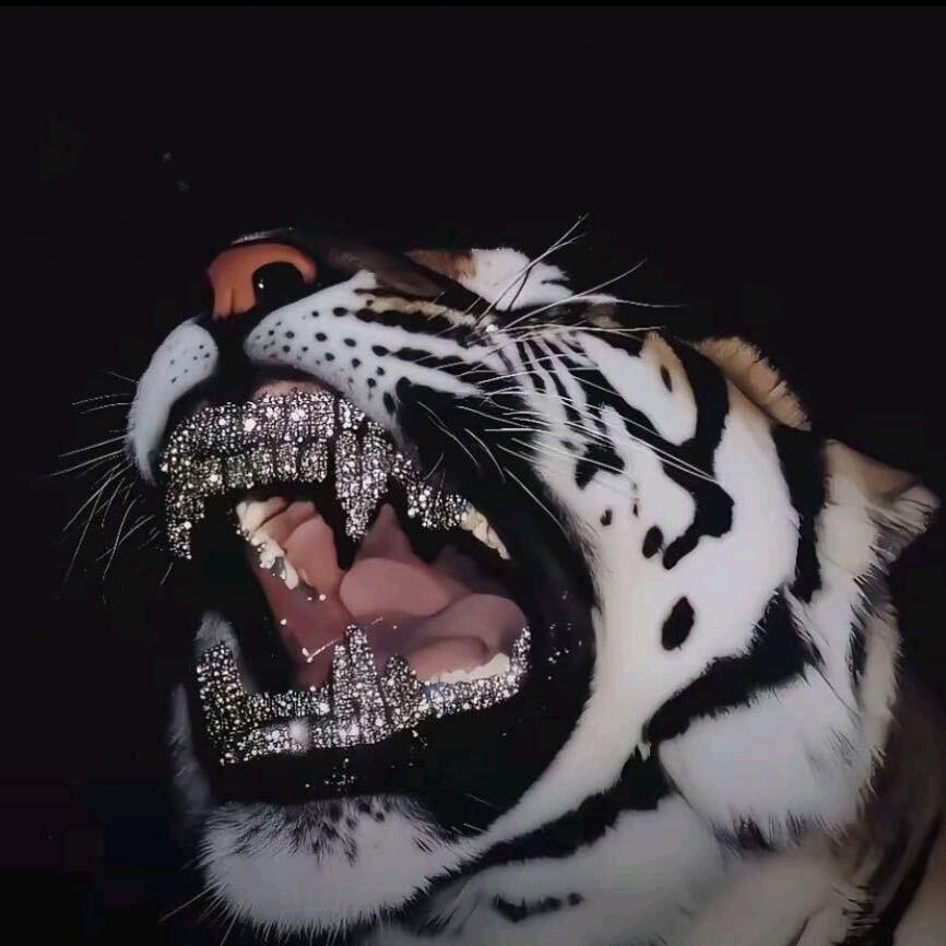 钱是英雄胆.📿