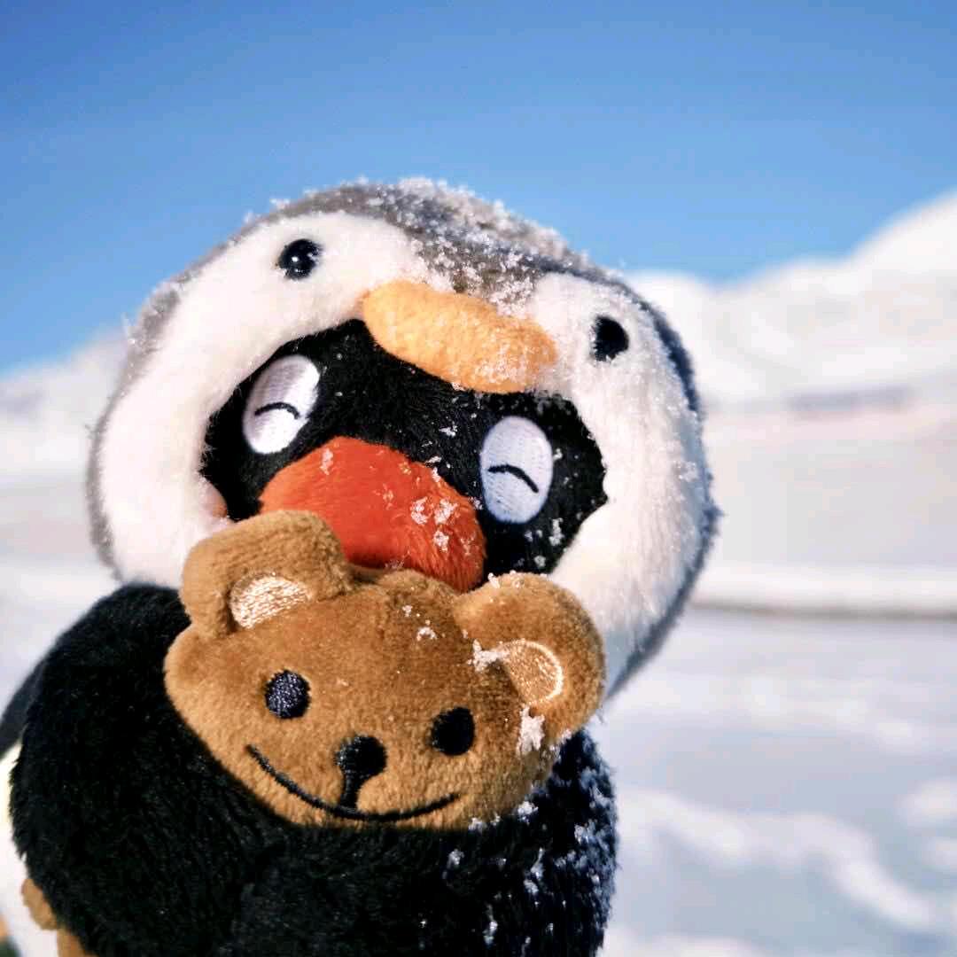 賀梧安