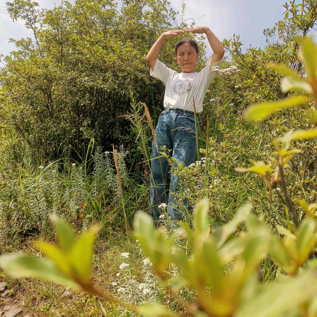 梅花姐（首播筹备中）