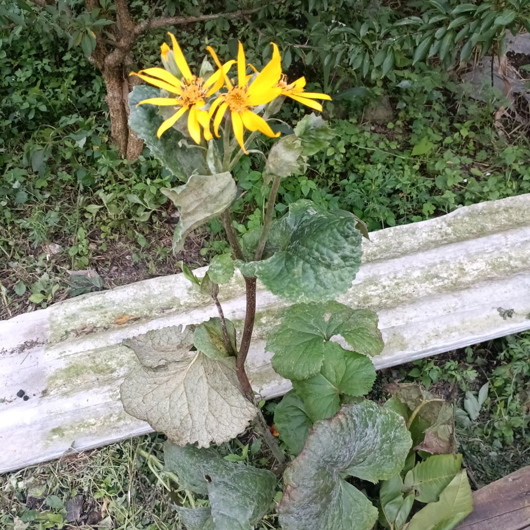 人生怎么选择都有遗憾