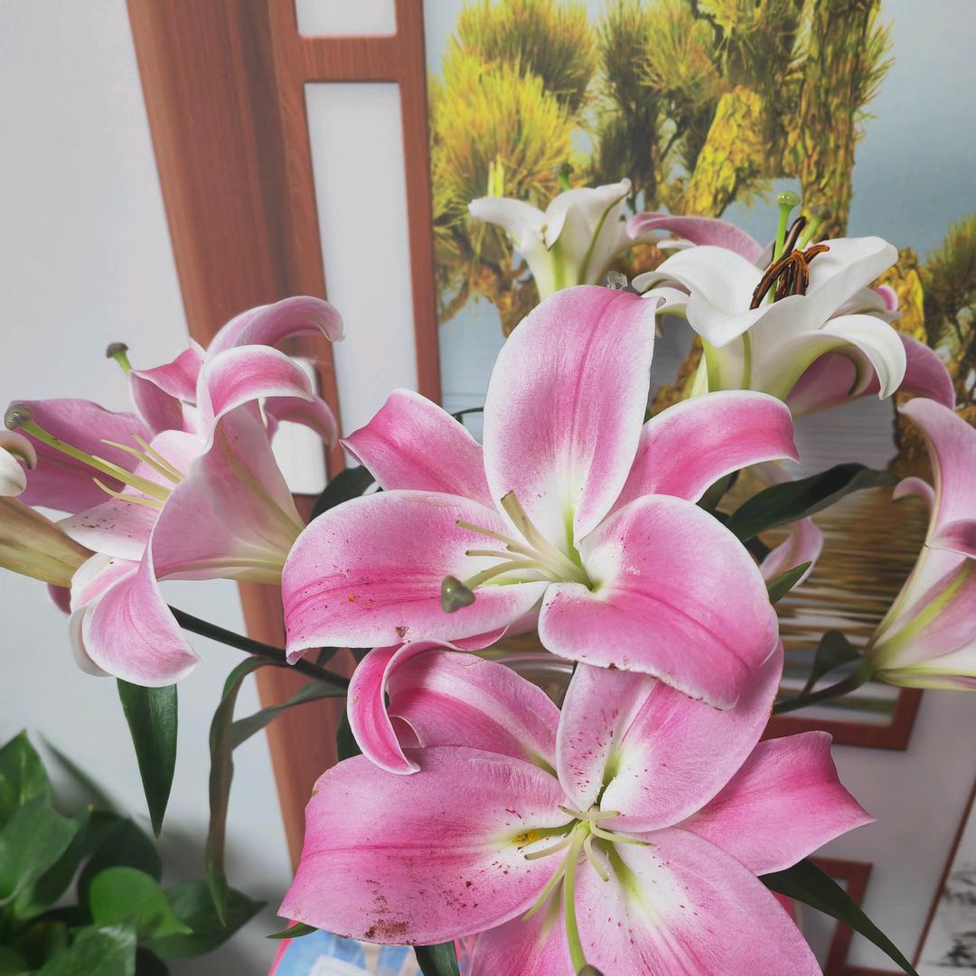 我就是我