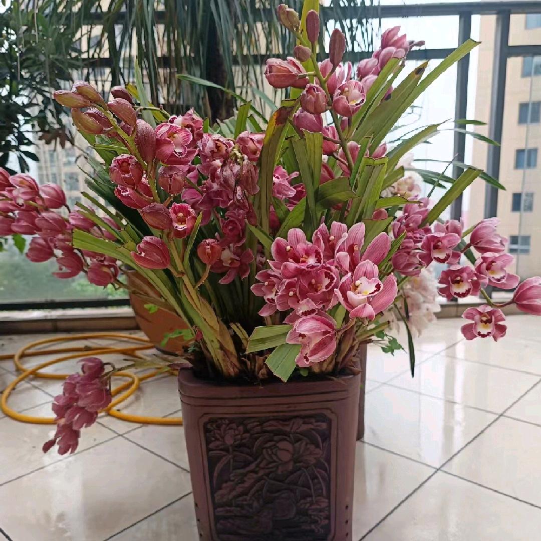 我相信我自己