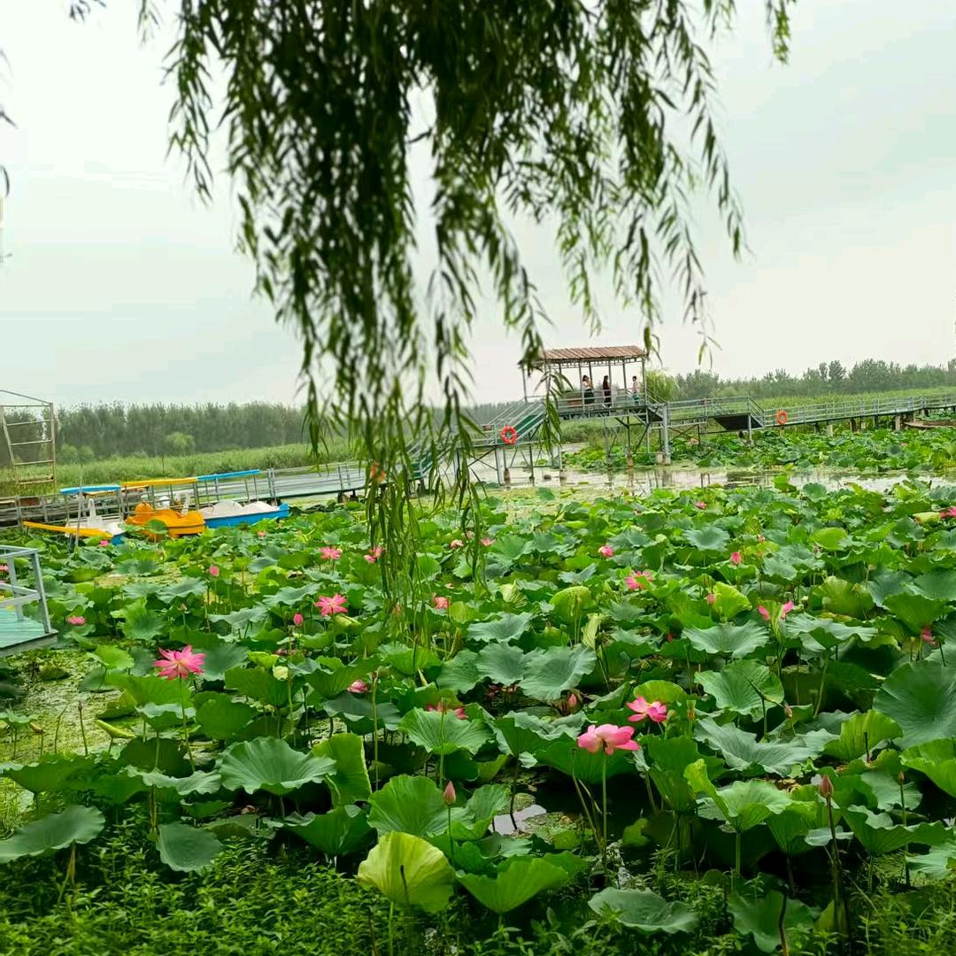 梦洁家纺薛城贵诚购物中心四楼