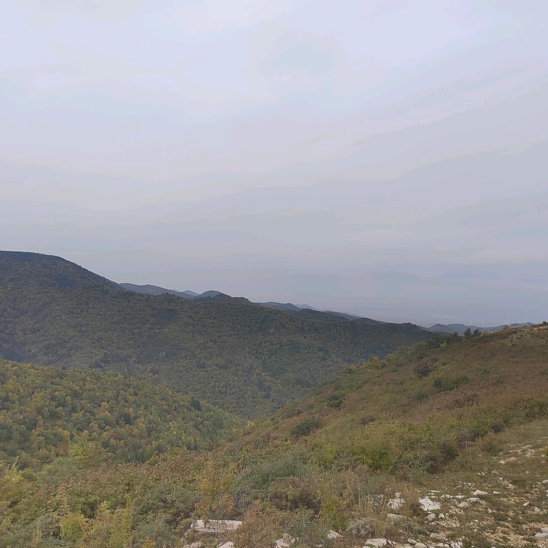 园筑两心居