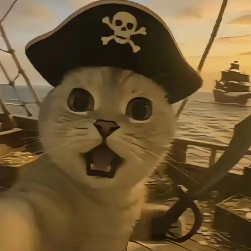 擒贼先擒王先生