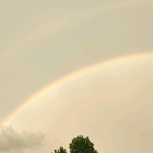 🌈🌈Sunshine🌈🌈🌈🌈
