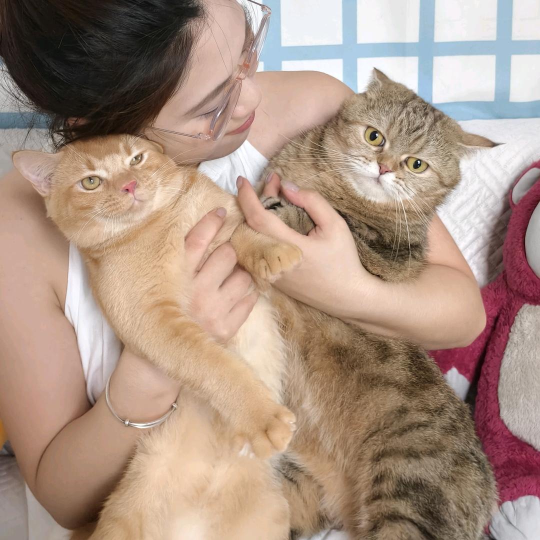 能拉两斤屎的屎王