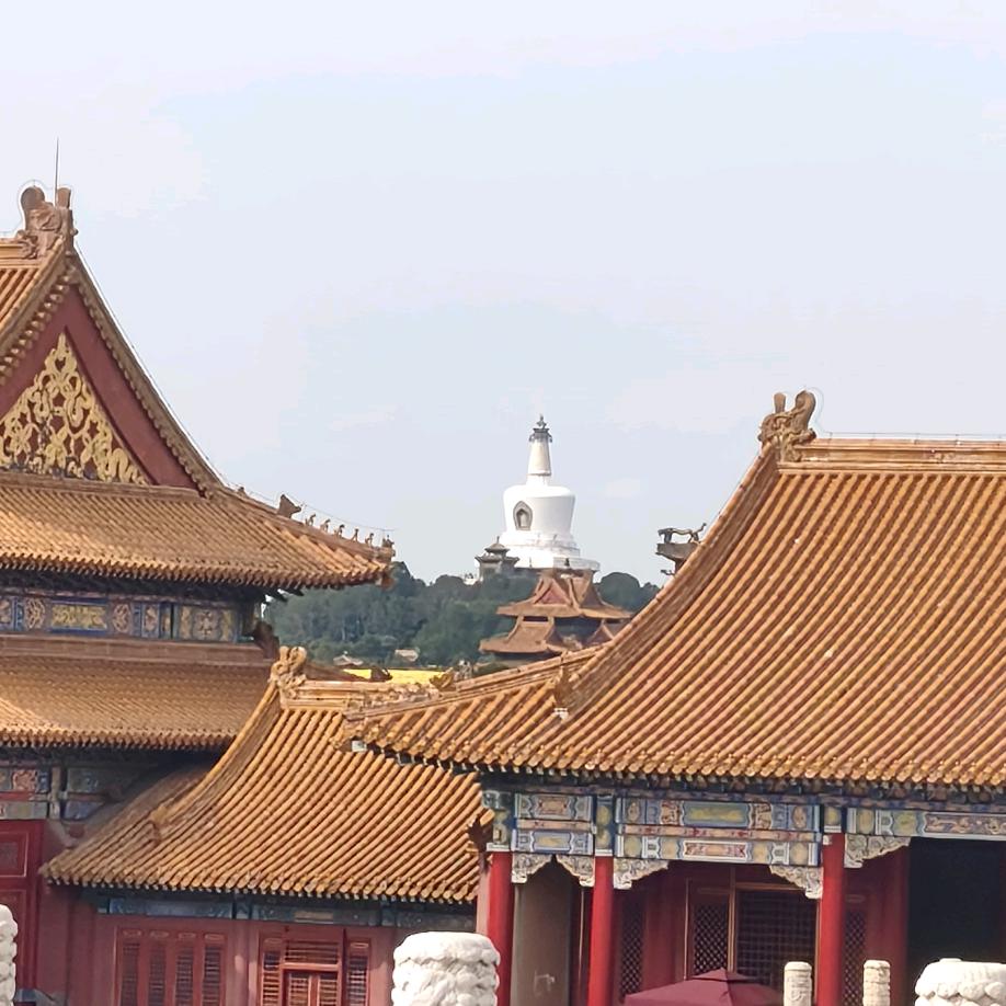 哏儿都青年小洋