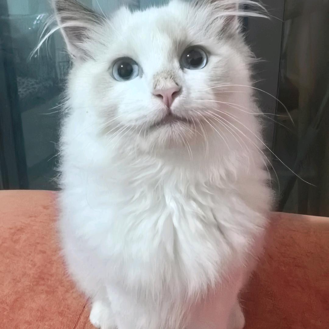 亿佰（壹百）