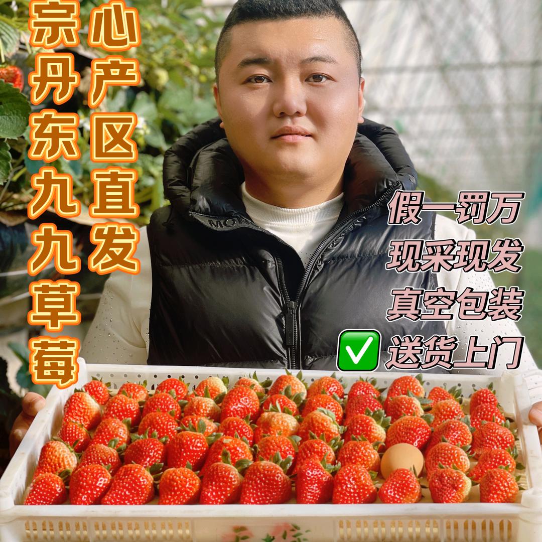 丹东天宇九九草莓