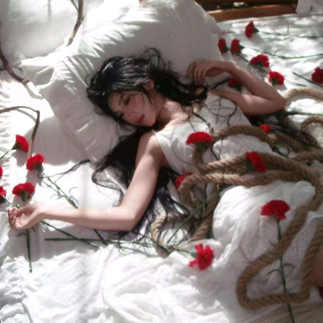 🌸屋顶上的拾荒人