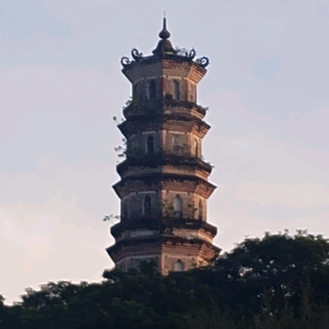 ♞重启人生⁵²⁰