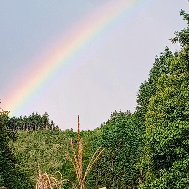 苦甘〈不忘初心〉