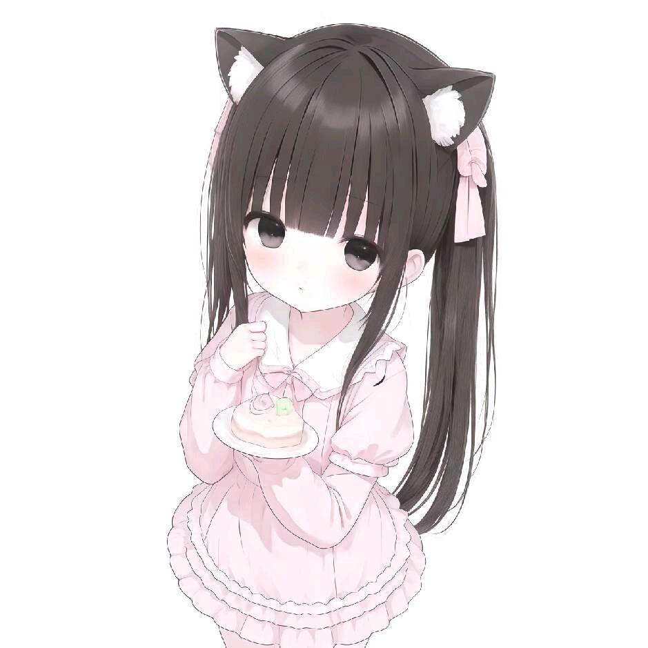 犯困猫