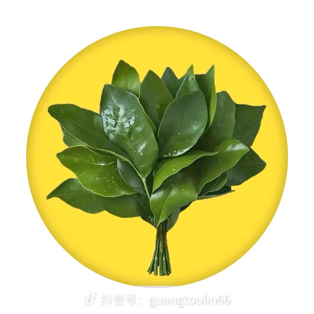 张朵朵