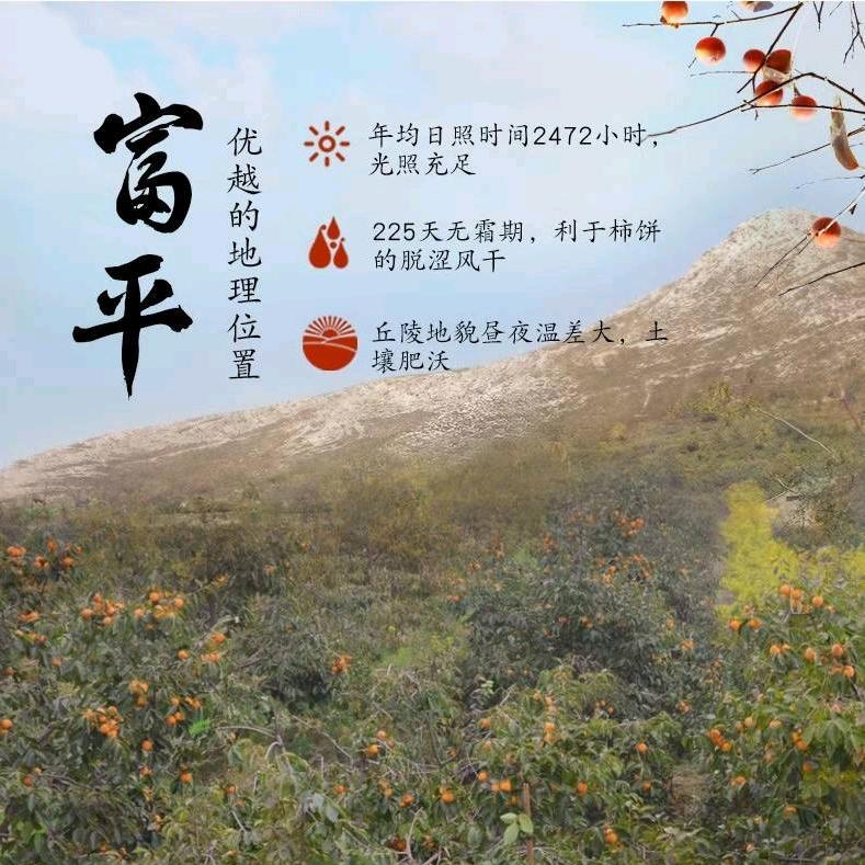 鸿富柿-富平柿饼