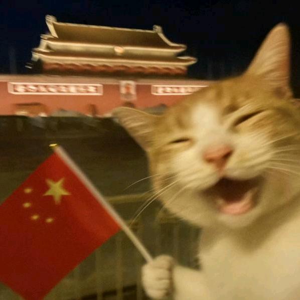柃嫒