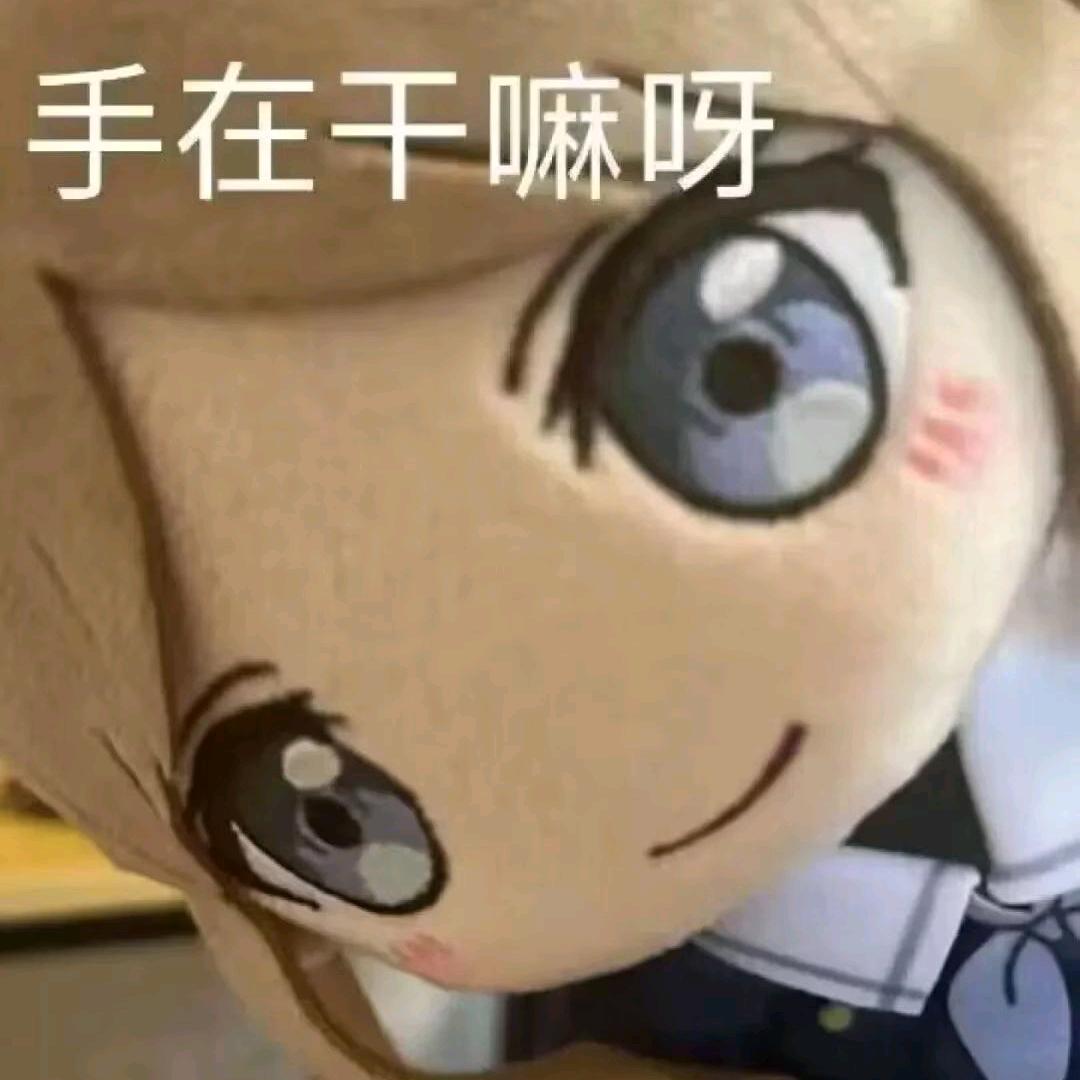 哈基月