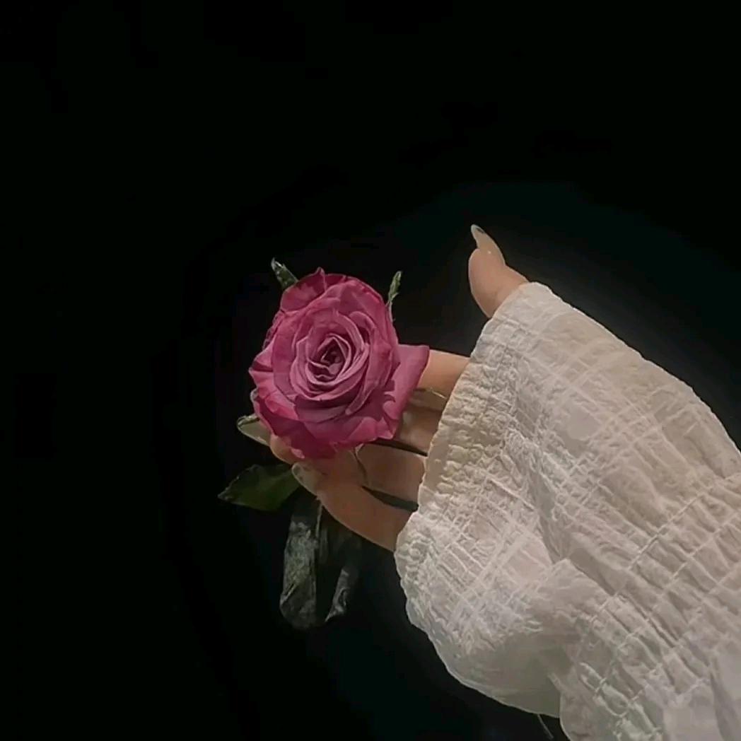 仙欲🎀