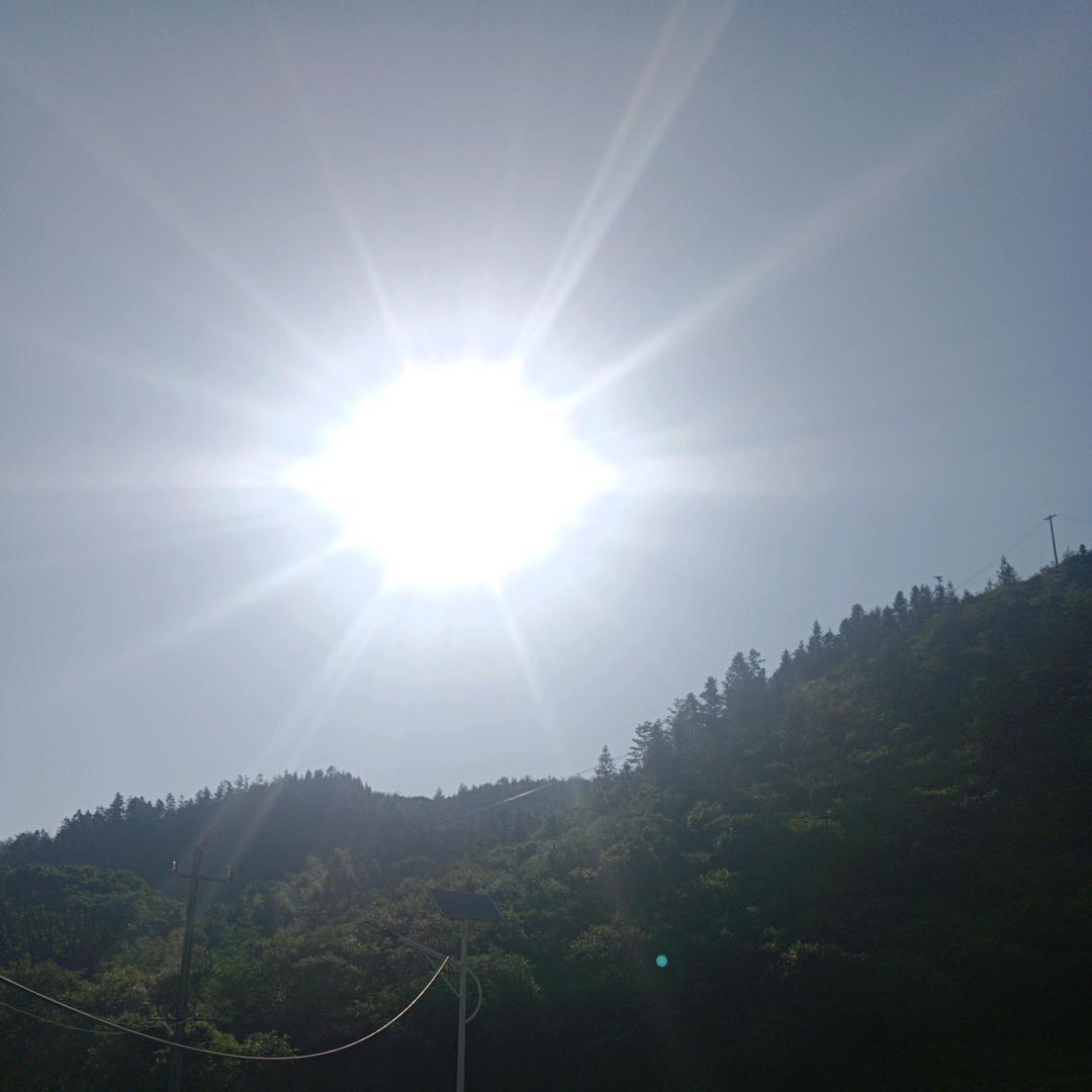 天马行空的想象力