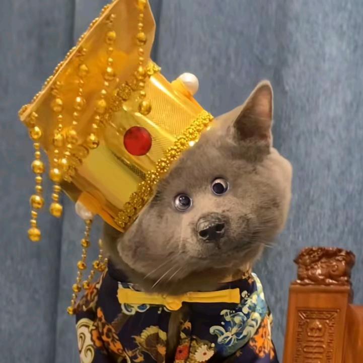 慵扰