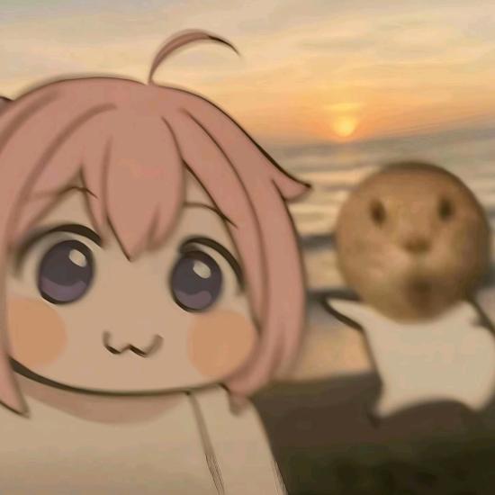 咖啡猫