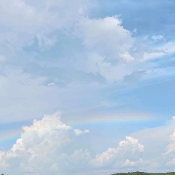 下雪时你却不在！