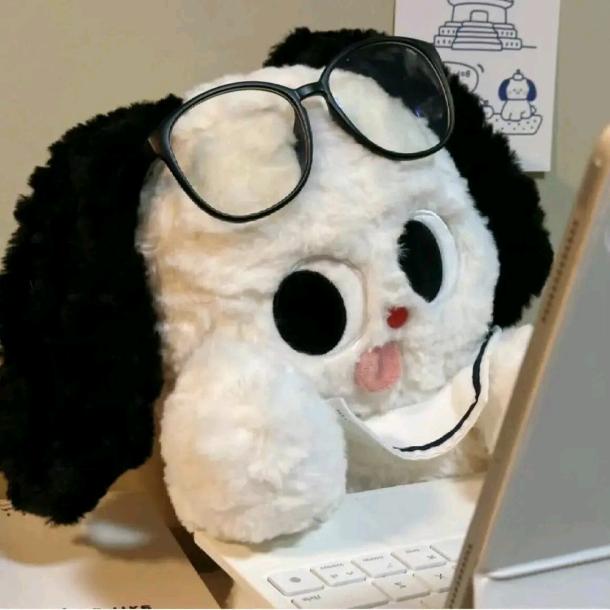 奇遇