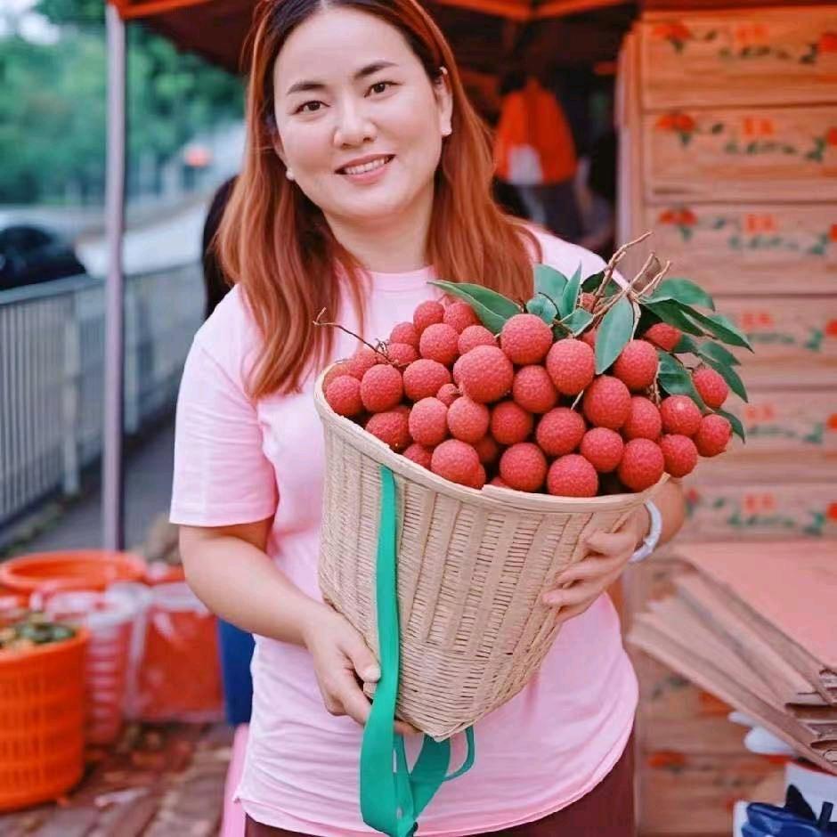 深保果园南山荔枝园